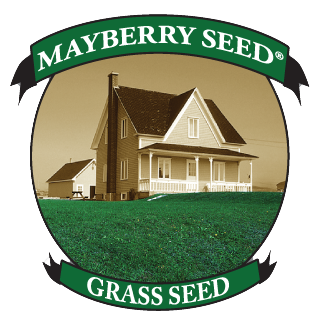 MAYBERRY™ TURF SEED