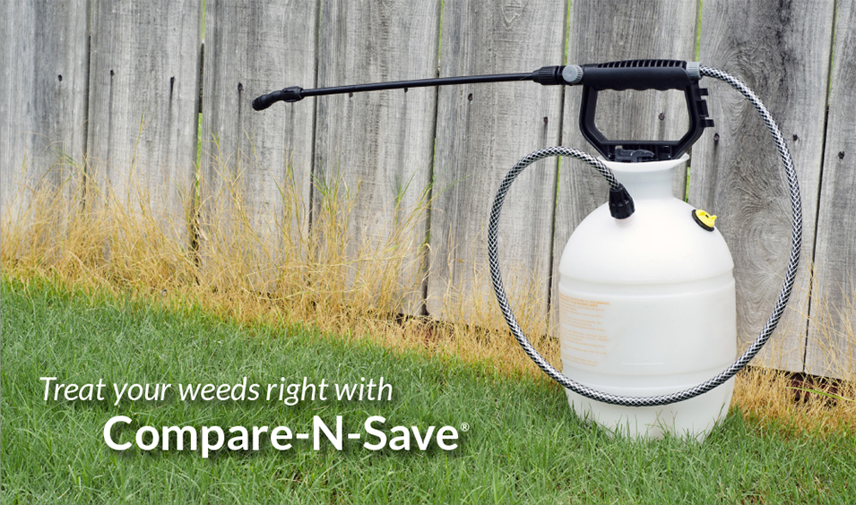 Compare-N-Save weed killer by Ragan & Massey