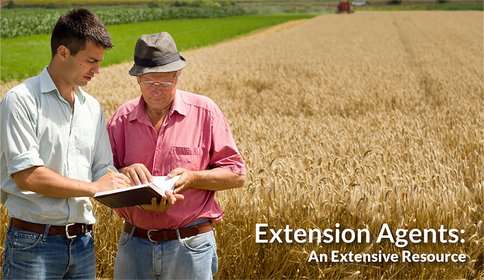 Extension Agent Tips by Ragan & Massey