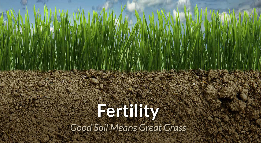 Ragan & Massey: Good Soil Means Great Grass