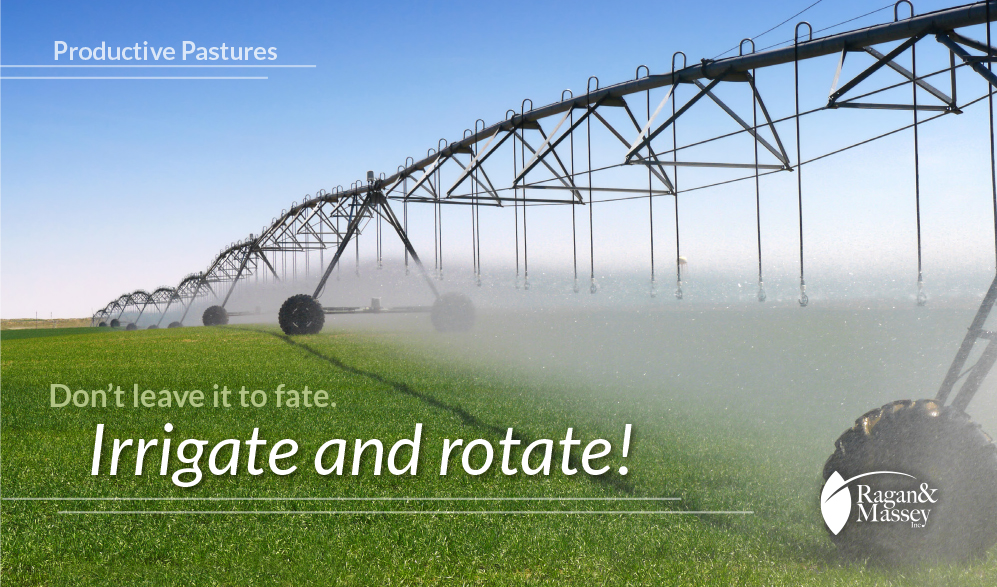 Irrigation and rotation tips by Ragan & Massey