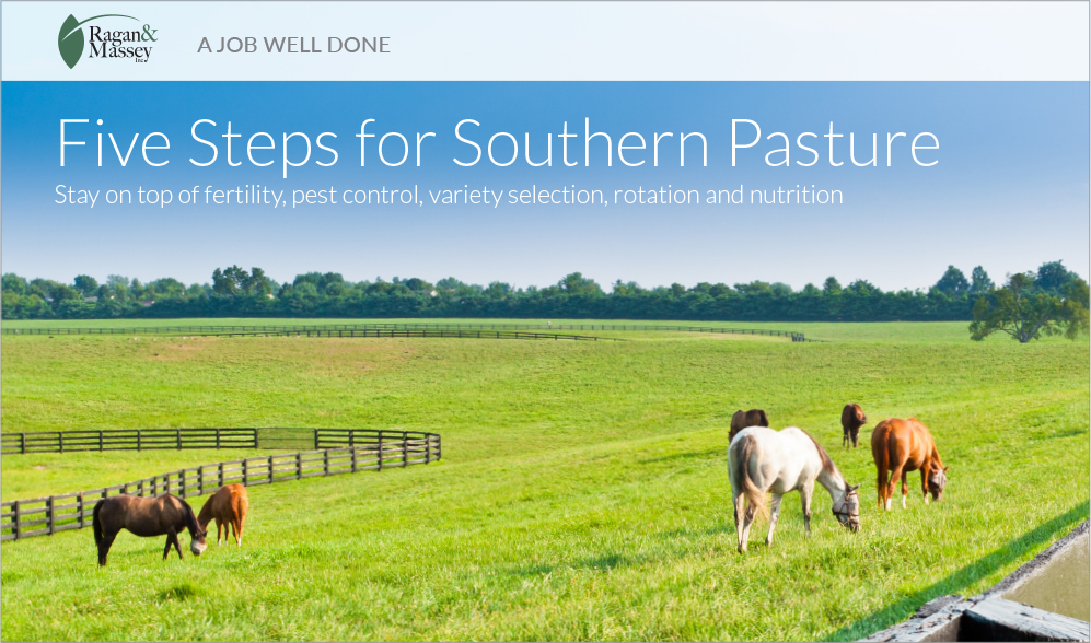 A Job Well Done - Steps for Southern Pasture