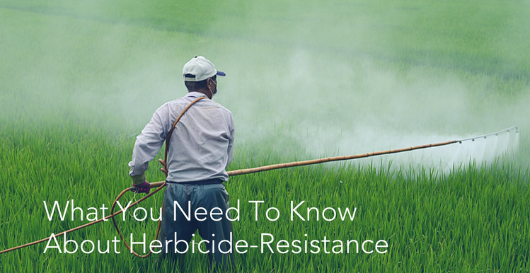 What You Need To Know About Herbicide Resistance