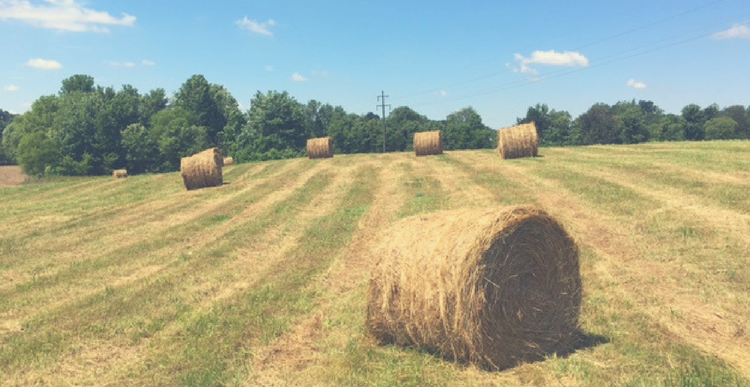 Avoiding Hay Fires