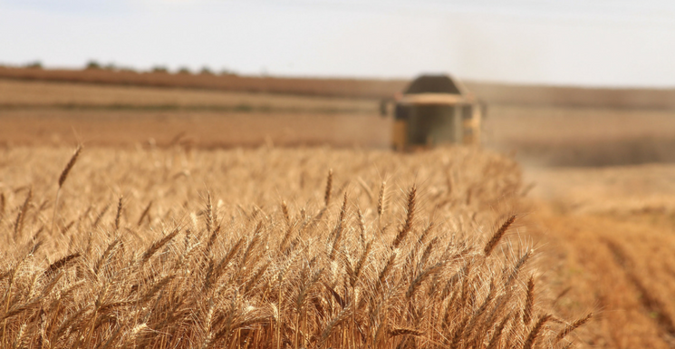 Preparing For Harvest