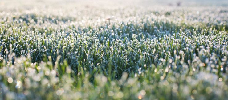 Prepare-Your-Garden-For-Frost