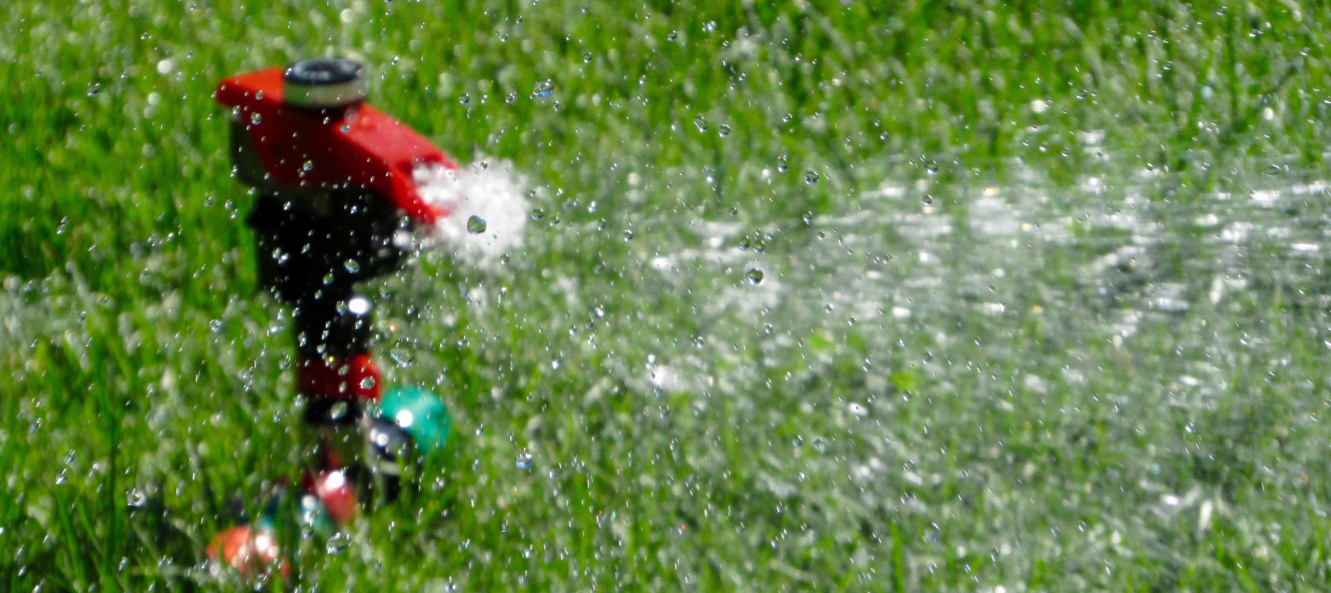 When To Water What Works Best For Lawn And Garden Products