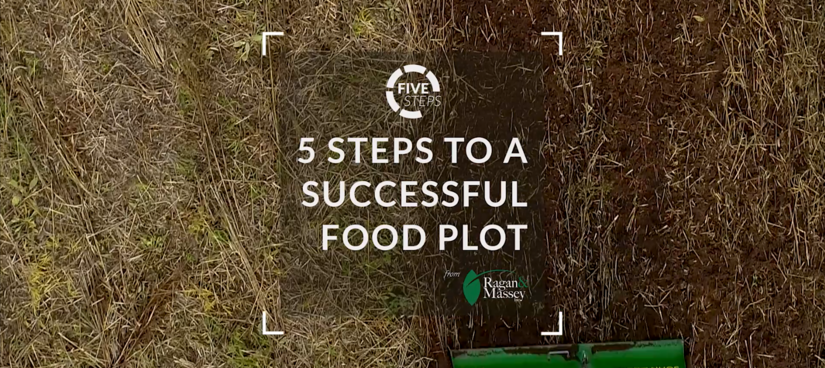 5 Steps to a Successful Food Plot