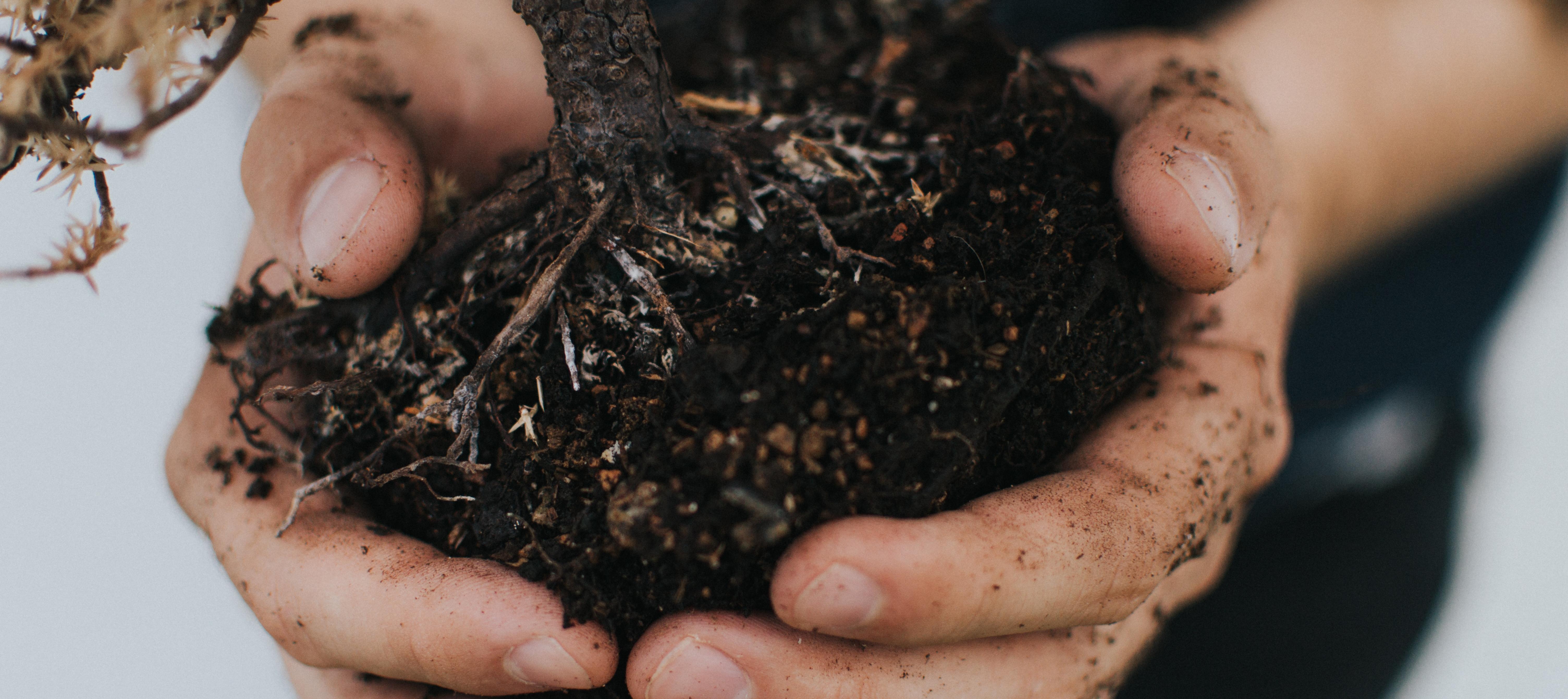 Have You Thanked A Farmer Today?