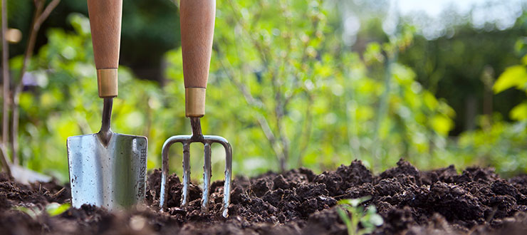 5 Steps To Take This Spring Before Planting A Garden