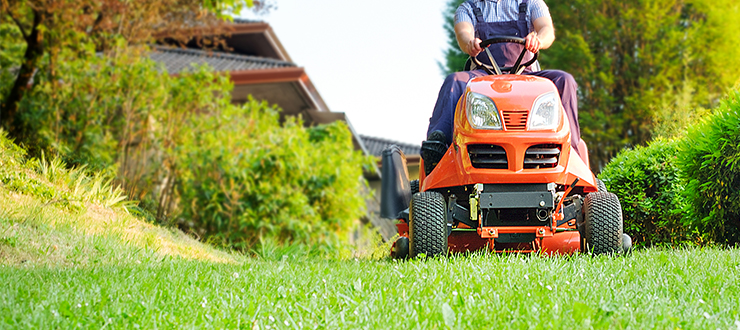 9 Lawn Myths Busted For 2019
